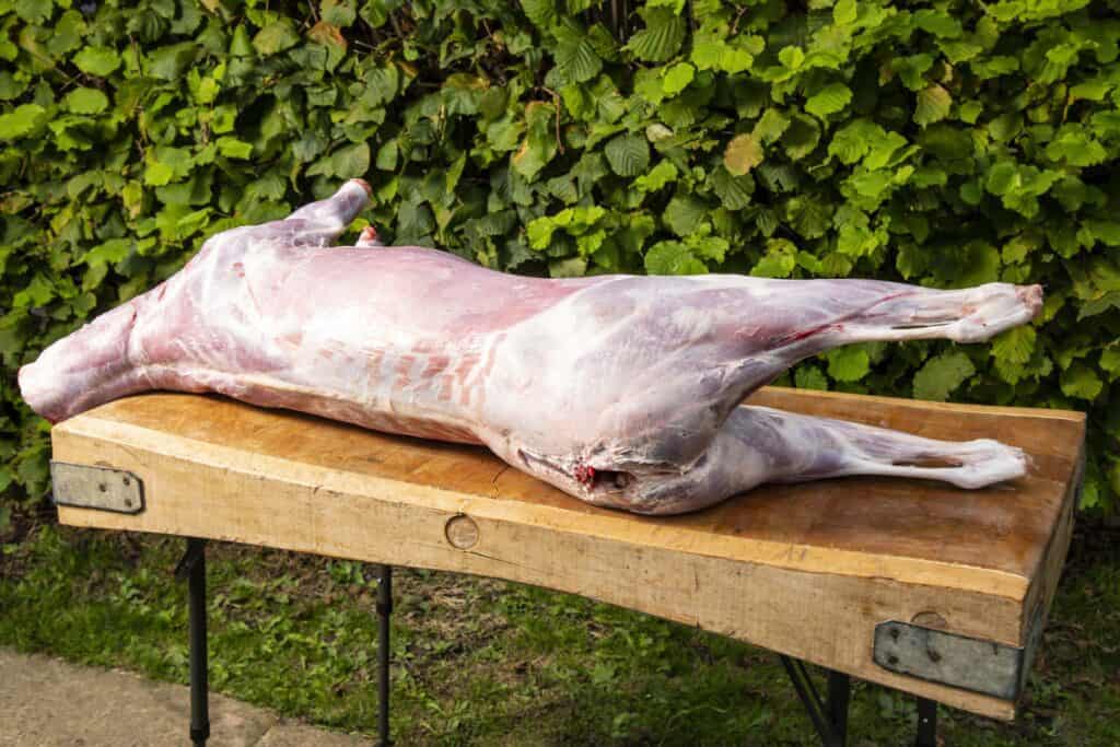Whole Venison Roast Service